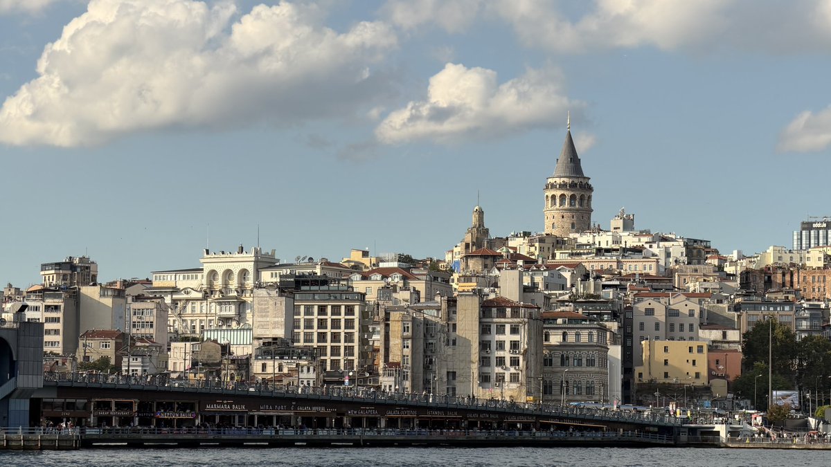 CatputerScience's tweet photo. the istanbul skyline! https://t.co/UqfULevQG1