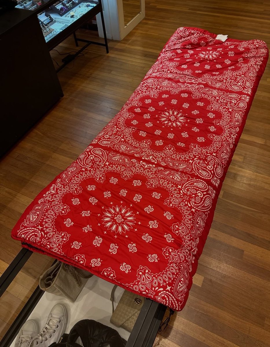 Shtreetwear's tweet photo. Supreme x TNF Sleeping Bag https://t.co/ej4wZ7ideU