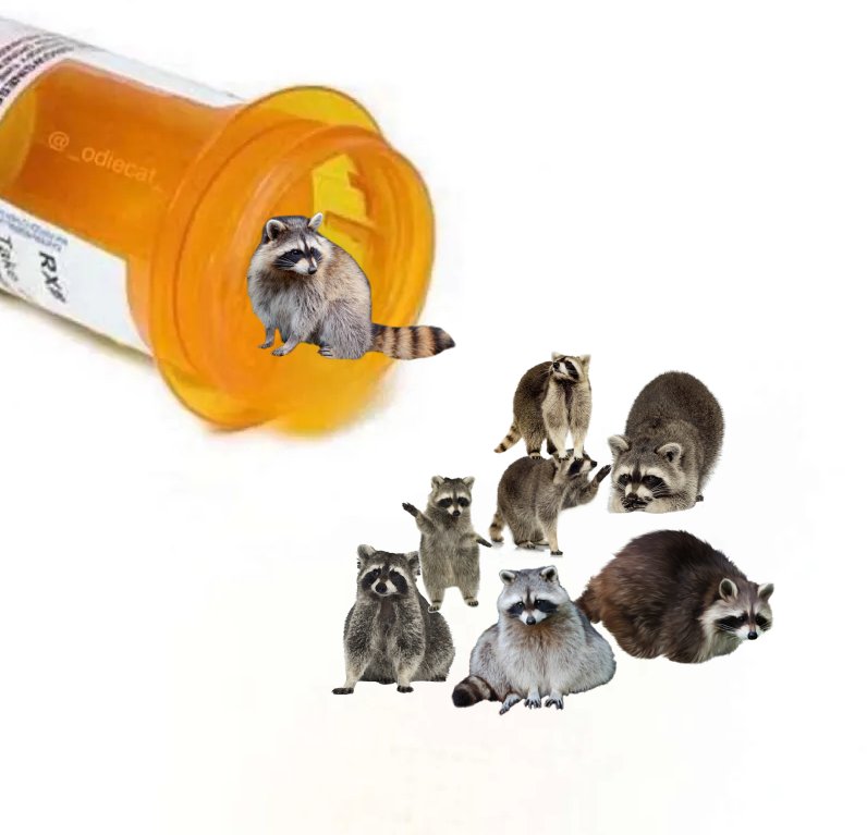 ShouldHaveRacc's tweet photo. antidepressants https://t.co/SF5zohKoWT