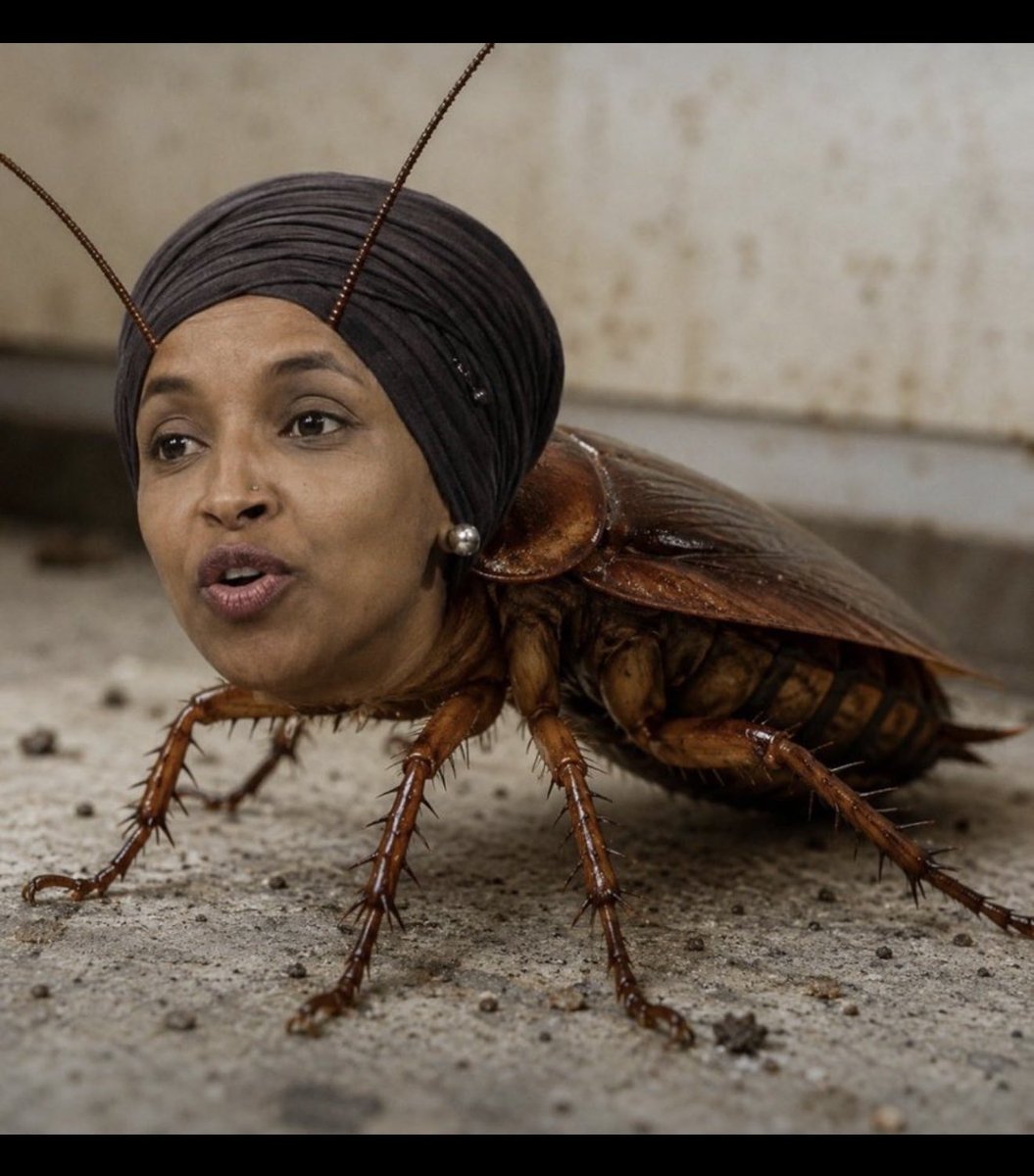 MarkDHughes1007's tweet photo. We need to RAID the Capital!Fcking cockroaches!👊👊👊 https://t.co/hOQs3GQLsZ