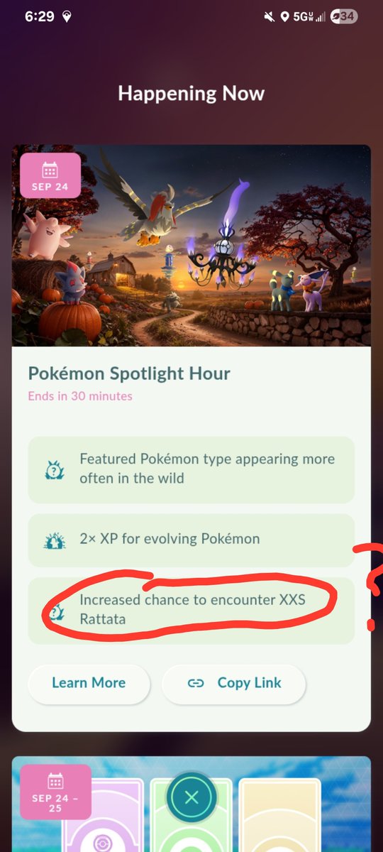 pokekoom's tweet photo. Increase my ass! Only caught 4 xxs #rattata #pokemongo https://t.co/x53jRgkQ7V