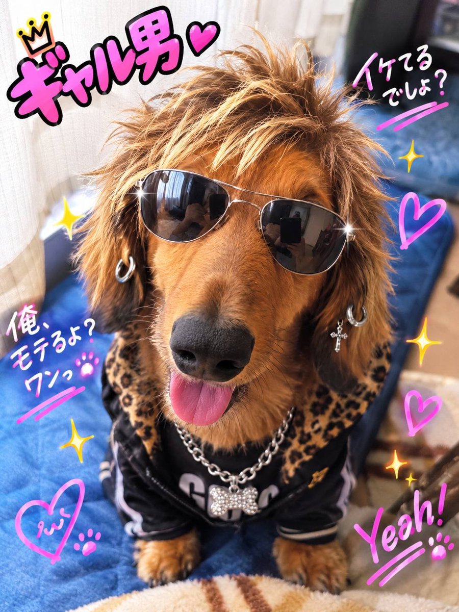 Reverse2Block's tweet photo. 最近妻がChatGPTとずっと話してる https://t.co/I4EV30iSoK