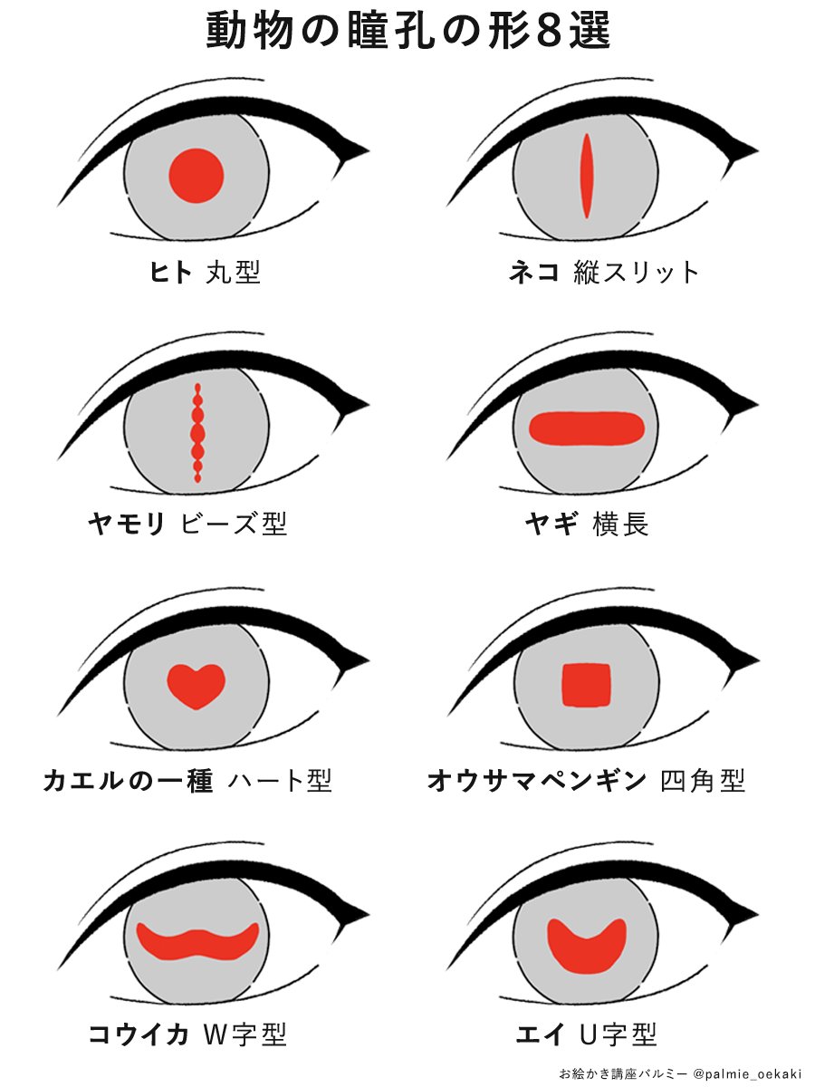 palmie_oekaki's tweet photo. 動物ごとの瞳孔の形まとめ👁
キャラデザや創作の参考にどうぞ✍️ https://t.co/1HCLEz0U78