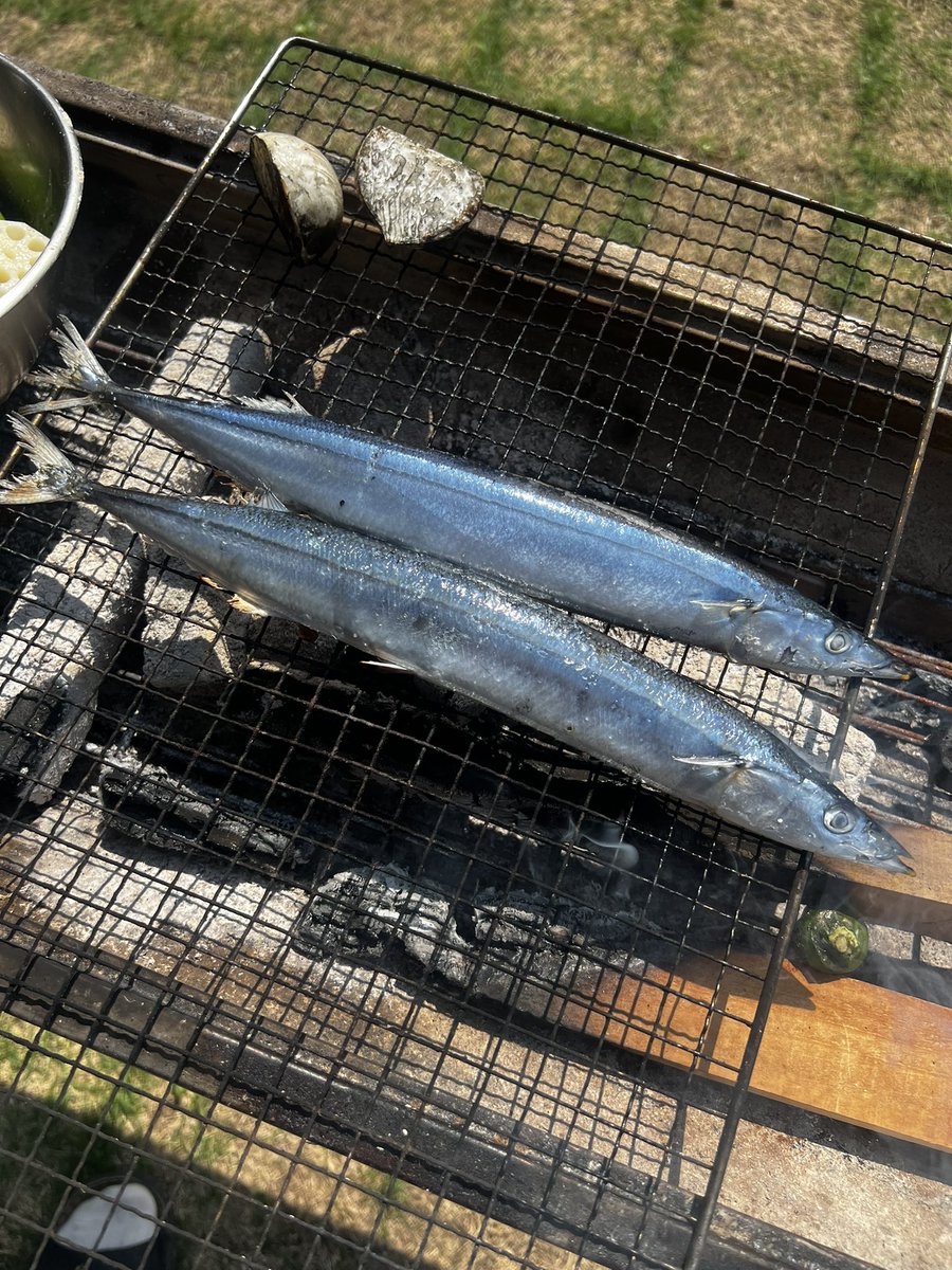 tennensui43's tweet photo. 初サンマ https://t.co/8qzPeof8Yo