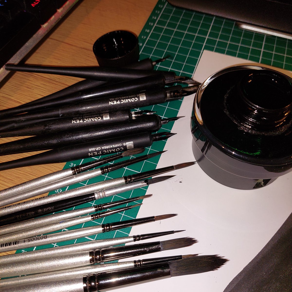 RACCOON_GALLERY's tweet photo. I am making plans. Very good plans. #art #comic #commission #sketch https://t.co/EweP2NPmJY