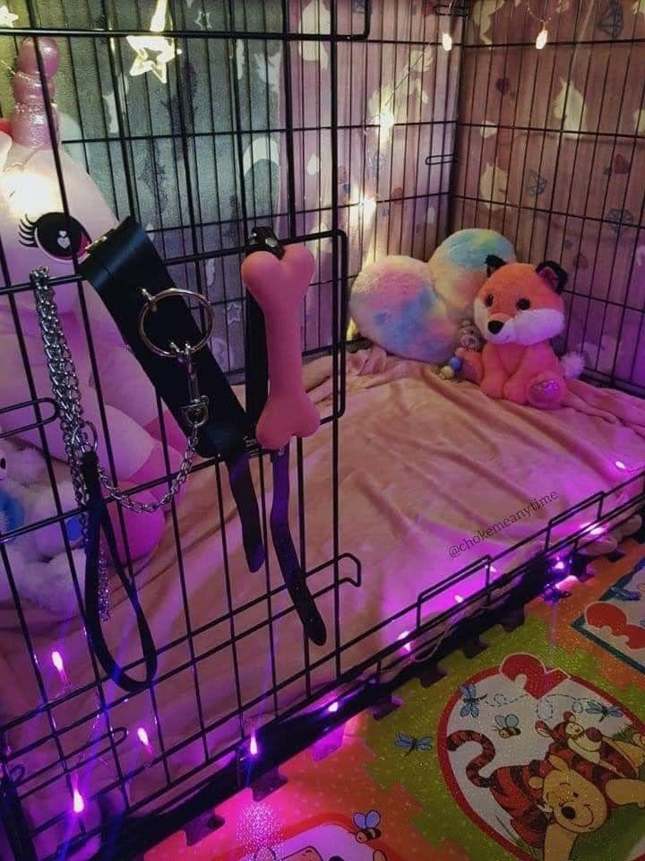 silli_melli's tweet photo. 𝓟𝓾𝓹𝓹𝔂 𝓜𝓮𝓵𝓵𝓲 ᯓ★ 𝓲𝓷𝓽𝓻𝓸

- 22, bbw, 5’8, submissive goonette puppy girl
- censored nudies and audios ONLY
- I do not sell or accept payments for anything 
- hard kinks, little to no limits
- needy attention whore
- looking for moots! 
↻  +  ♡︎
 #nsfwtwt https://t.co/dp35xXg7Fx