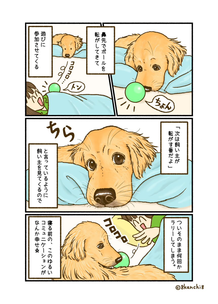 8kanchi8illust's tweet photo. 寝る前のゴールデンレトリバー🛏️😴 https://t.co/AY0dmHQlWK