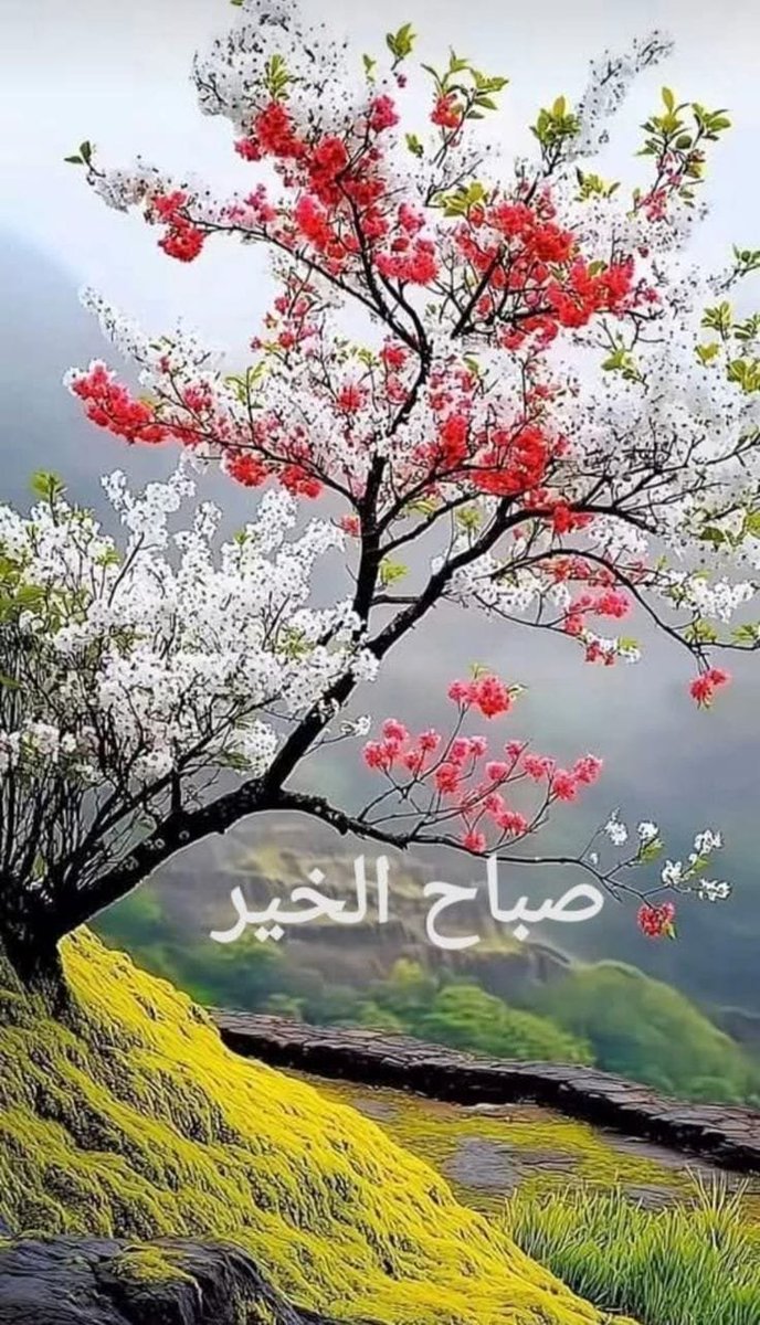 hashim81055193's tweet photo. https://t.co/30BcTLwQUh