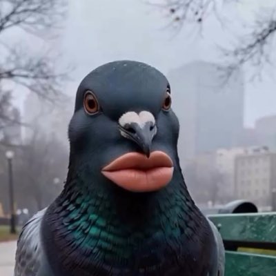 BestCitizen12's tweet photo. #NewProfilePic #send #this #to #someone #whos #mean https://t.co/cSTGDoxrnQ