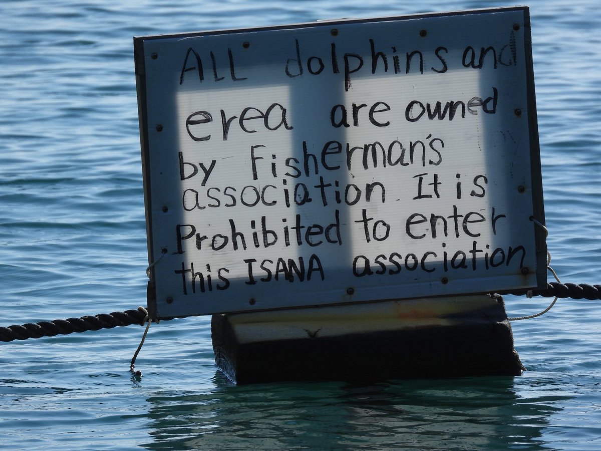 KunitoSeko's tweet photo. A pod of bottlenose dolphins, estimated to be large, was driven into the Cove.  The hunters have set up two layers of nets and installed floodlights, so the dolphins will remain trapped in the Cove throughout the night. Black Cove 🖤🐬🐬🐬🐬🖤 https://t.co/lKrRJkAU91