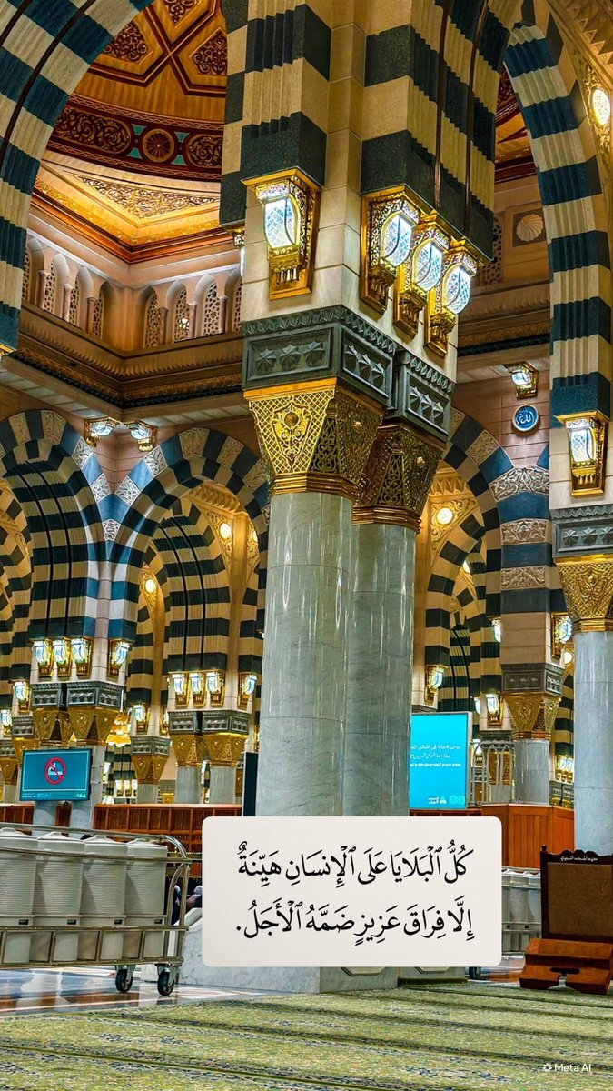 ii__ma96's tweet photo. #يوم_الجمعه 

فجر الجمعه بالحرم 🌿🤍✨. https://t.co/zvGrQZ6Q3l
