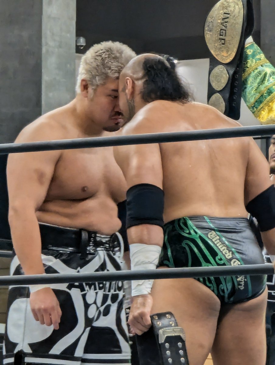dir_en_sato3104's tweet photo. HIGH対マナ!
#njdest
#njpw
#ゼインジェイ
#OSKAR
#YutoIce
#HENARE https://t.co/J5h8ddCock