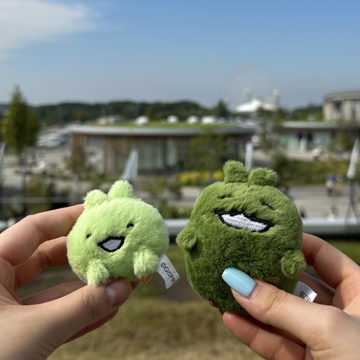 drecap_stores's tweet photo. ＼本日より通常販売スタート／

予約販売を行っていた「 #モリコロ ぬいぐるみ」が、通常販売開始！

先日、ブルーインパルスを見にモリコロパークへ✈️
モリゾーとキッコロも一緒にお出かけしました📸

#ドリームカプセル 

https://t.co/yVvezSBF4b https://t.co/hcDU5CdrIg