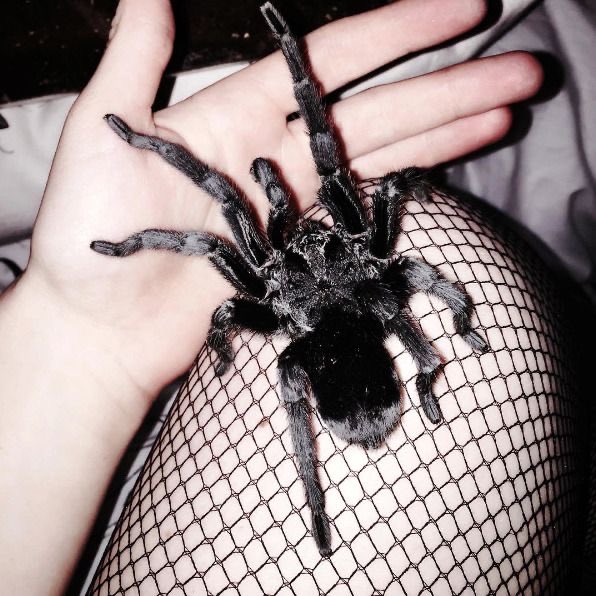 acervfrozen's tweet photo. Terceiro personagem: Yoruzo 🖤

— Aranha https://t.co/xQiD8GndXD