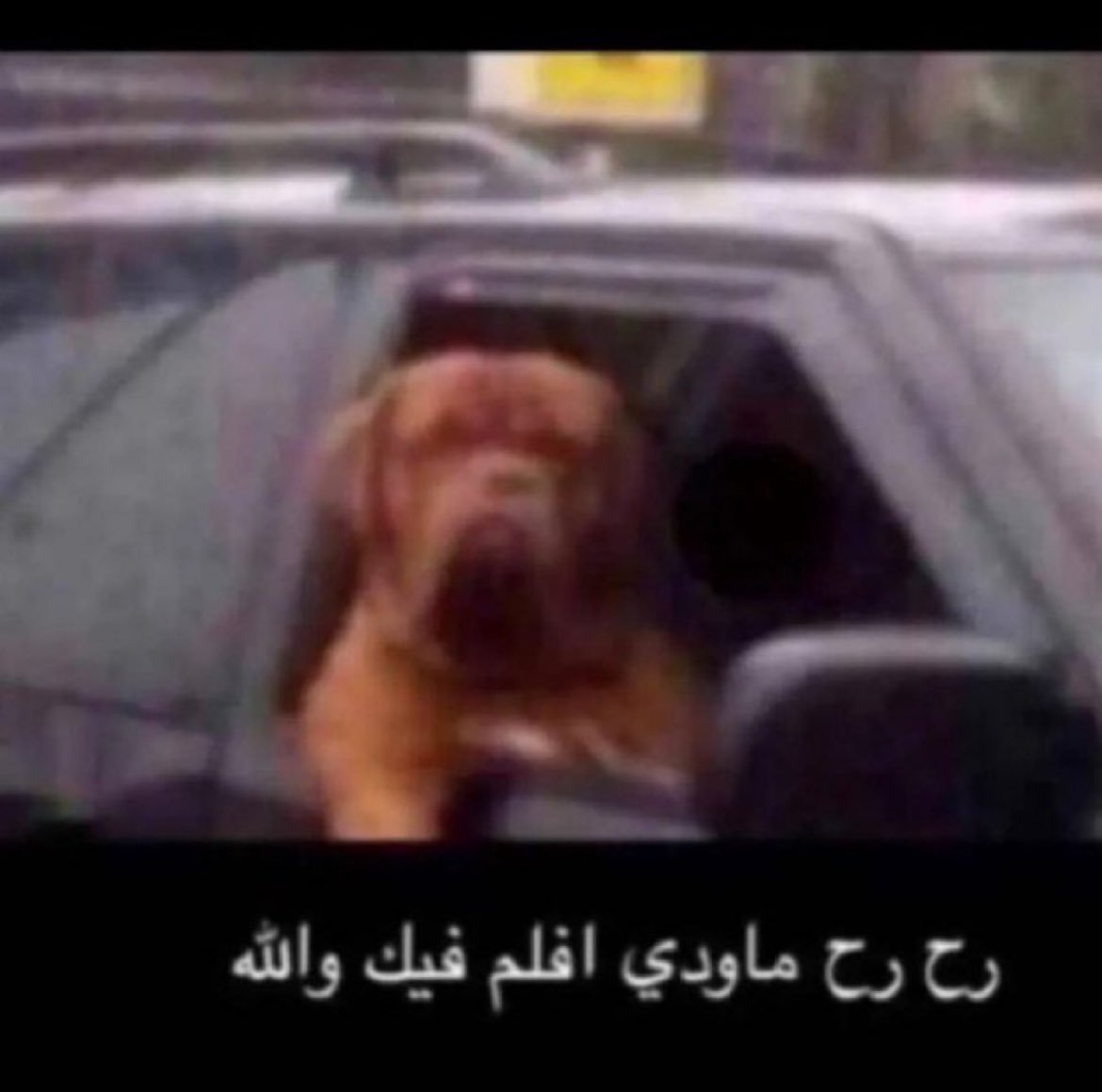 MX_2_3's tweet photo. @1lix78 ما راح اضغط نفسي معك https://t.co/2mZvkbVqRF
