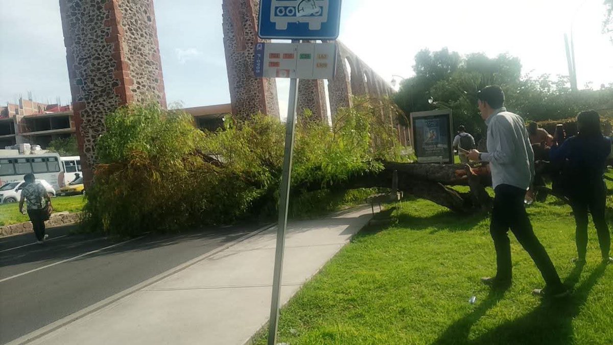 darkbieder1987's tweet photo. #Querétaro otro, mmmmm, pensé que  habían amarrados todos, ni la naturaleza quiere al PRIAN. https://t.co/wABXYm7BDA