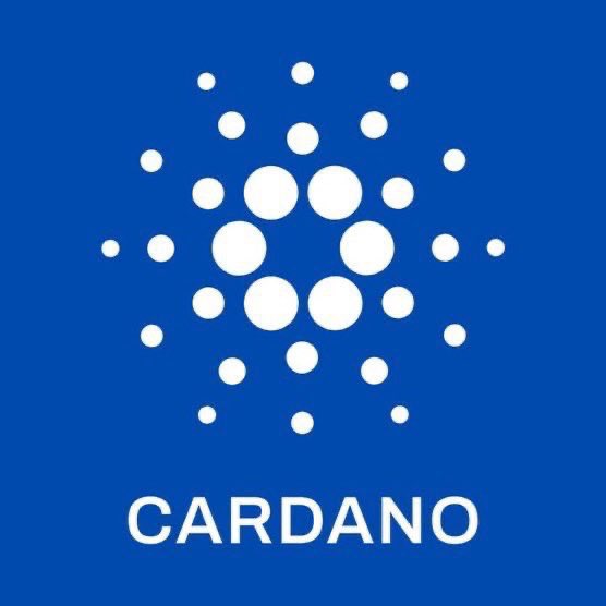 UnleashedArt1st's tweet photo. Our cardano:native reserve is up 86.4% to date! 

We will continue to invest into the Cardano ecosystem every month as we've been publicly doing for years. https://t.co/H1EWLjDFgL