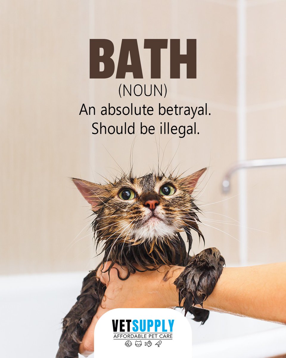 vetsupplyau's tweet photo. Bath time: the ultimate betrayal according to every cat! 😹🛁
Cat parents, does your kitty love bath time—or run for their life? 👀
#vetsupply #vetsupplyau #catlife #catparents #catlover #funnycats #catbath #catcare #petlife #petparents #australianpetowners https://t.co/AfuX8ZRFfk