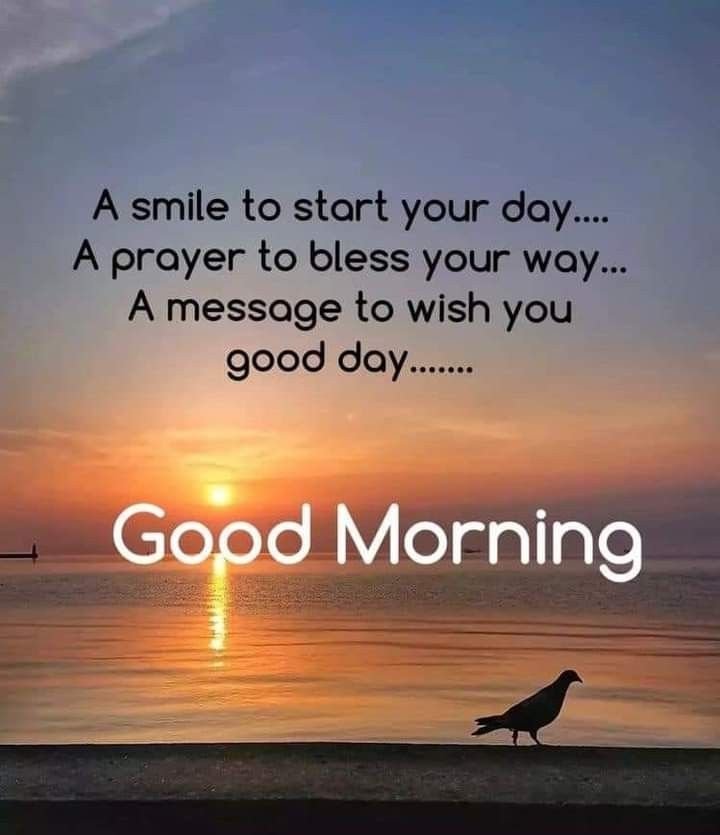 lotter_chr47028's tweet photo. Good morning...... https://t.co/XihjD9ko8y