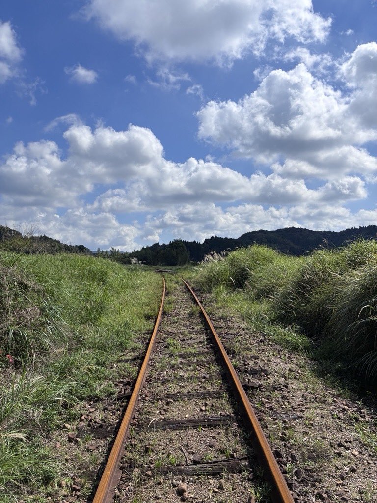 kominatorailway's tweet photo. 一方で、
「石神の手前は、全く健全でした」
「過去に傷を負って、きちんと直した
ところは大丈夫ですね」という場所も。
 
今回の視察では、 被害の大きさだけでなく、 これまでの復旧や対策が
どうだったのかも 確認する機会となりました。
 
【２枚目以降の撮影者】
石川晋平
（小湊鉄道株式会社 代表取締役社長）

※安全に考慮し撮影を行っております
※被害状況についての情報は
   公式HPにてご確認ください