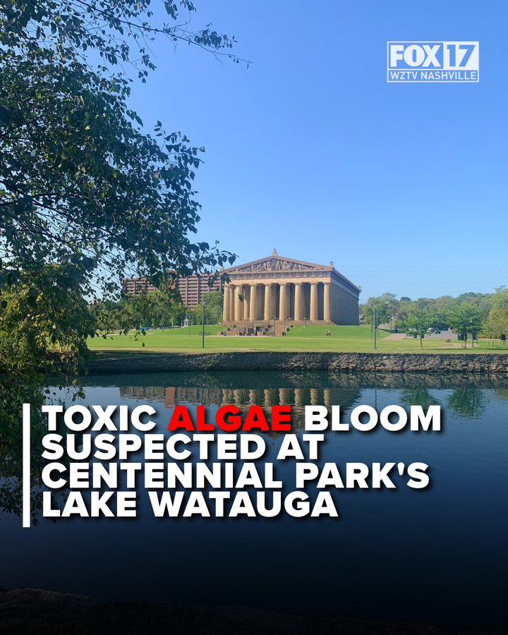 FOXNashville's tweet photo. ⚠️🐕 Metro Parks is urging people and pets to stay out of Lake Watauga at Centennial Park after a potentially harmful algae bloom was found. Officials say the cyanobacterial bloom can be toxic. https://t.co/XMpDfTqYlu

#CentennialPark #Nashville #MetroParks #AlgaeBloom https://t.co/sjFsveIrqz