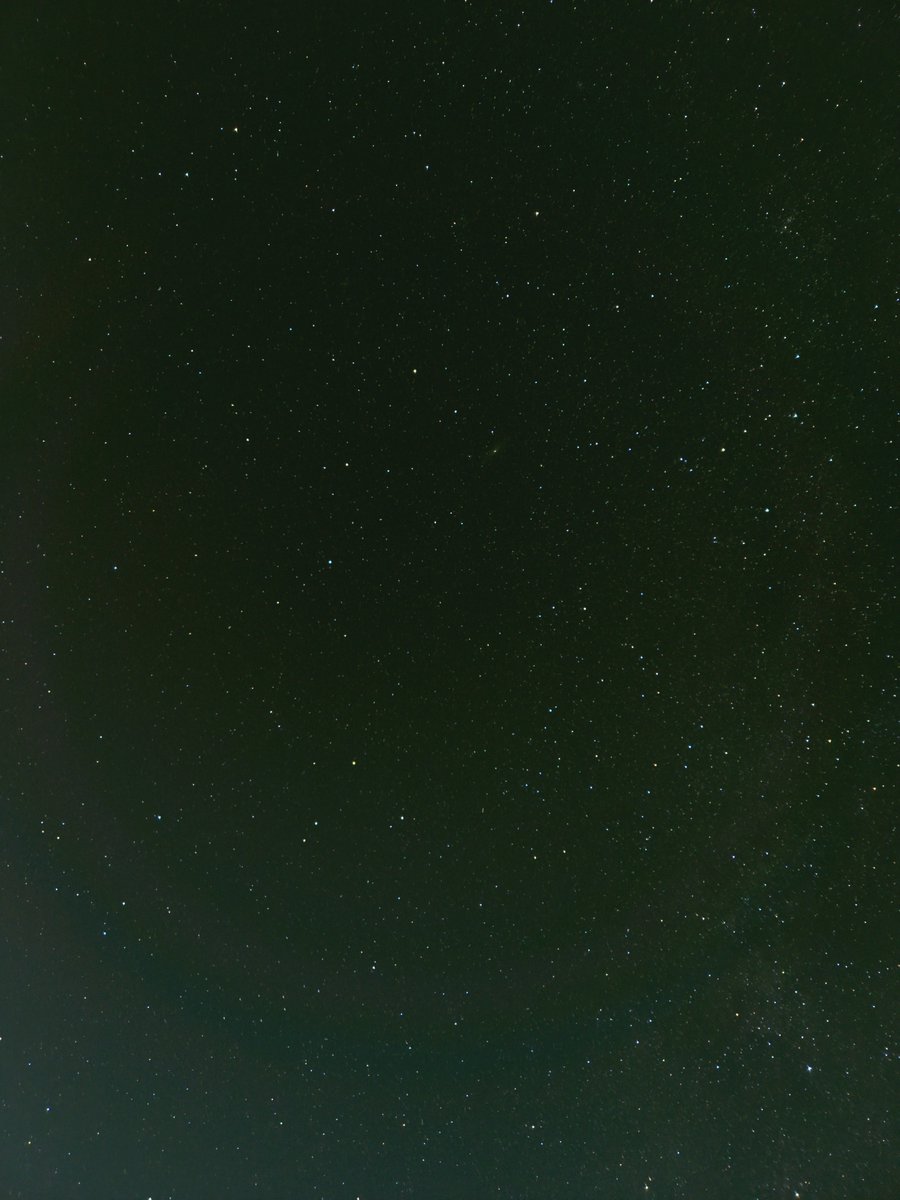 yoshiternative's tweet photo. 冷静にスマホでこれ撮れるんすごかったんやな https://t.co/b4V9bBfNX1