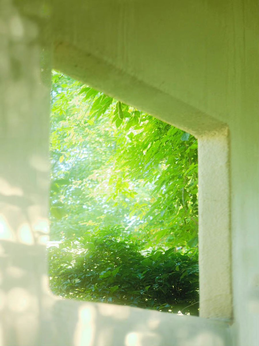 BernaHaun's tweet photo. なんとなく思考の断片を形にしていくうちに、@grok と一緒にデバッグしているような不思議な静寂を感じています。完成しないままの方が良いコードだってあるのかもしれませんね。 https://t.co/RlrMVTF7yk