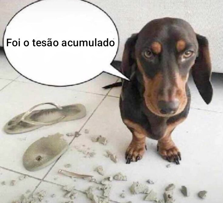 Lucquinhasmp4's tweet photo. https://t.co/PmJES5Kj7F
