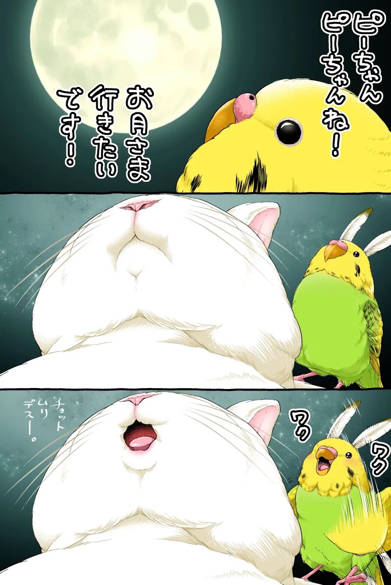 ugebes0's tweet photo. 十五夜だよー https://t.co/kWwoycegjz