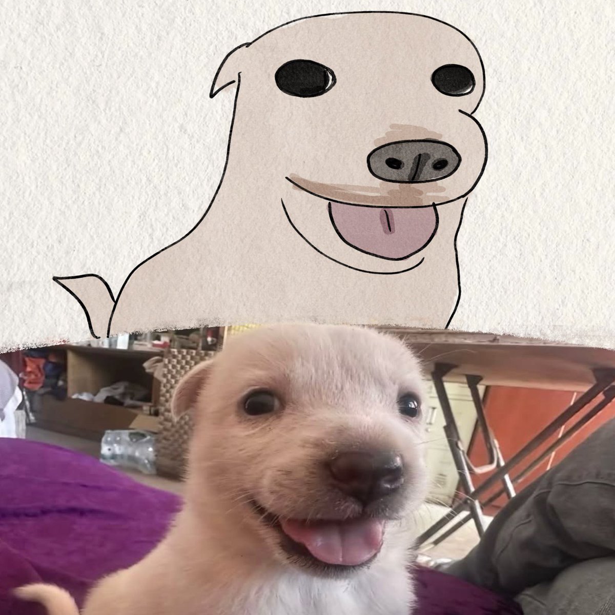 twaniimals's tweet photo. https://t.co/yB1yJtLODo