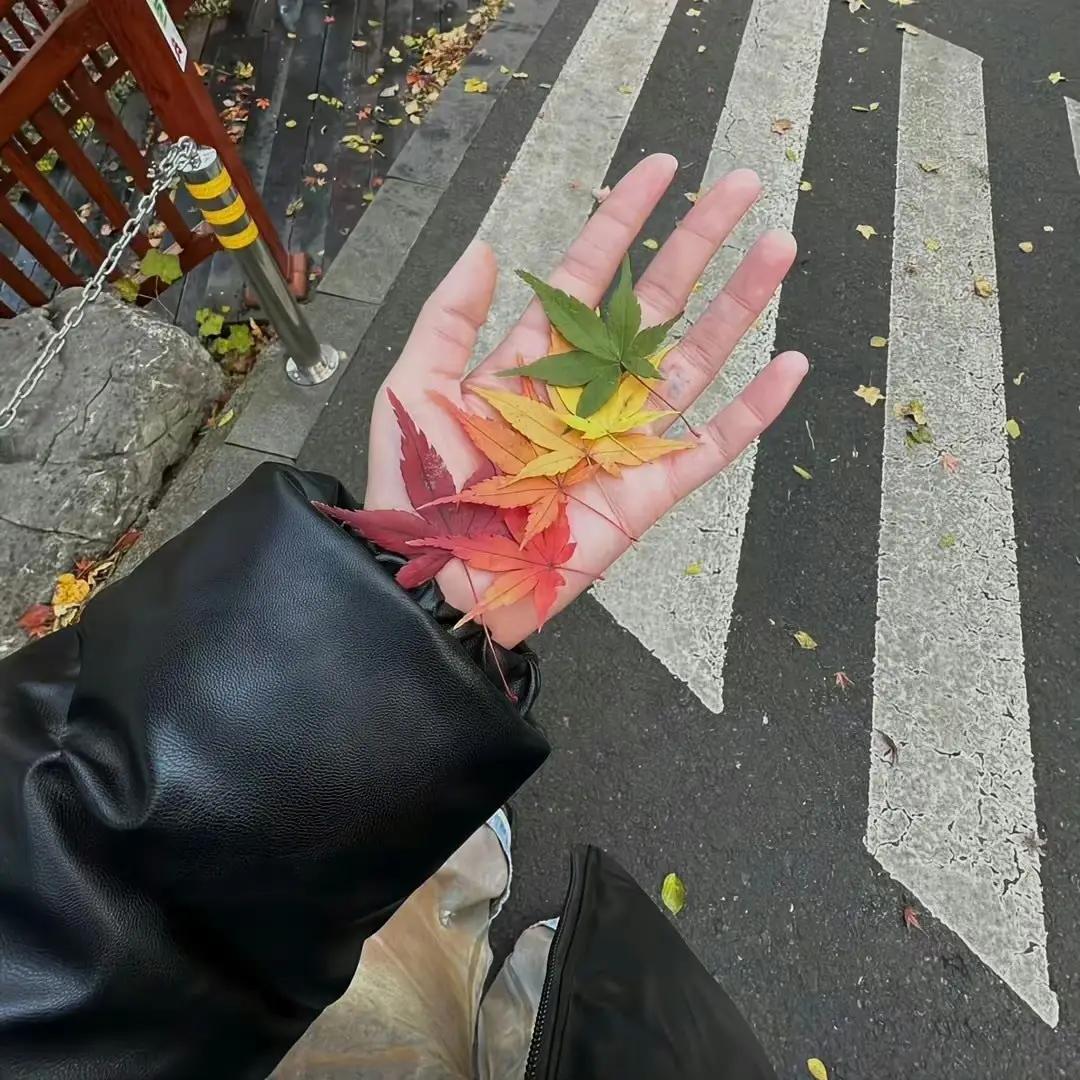 ArletteFloixp's tweet photo. everything seems to move toward an end eventually, i guess. sometimes it just feels faster. https://t.co/vuKzX56Z5o