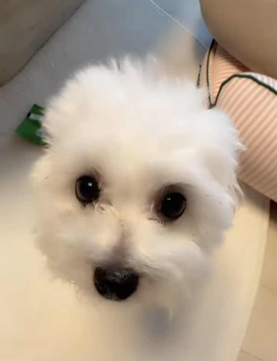 lotofmoneyyy's tweet photo. 🍼귀여워... https://t.co/K6a2AmWiWS