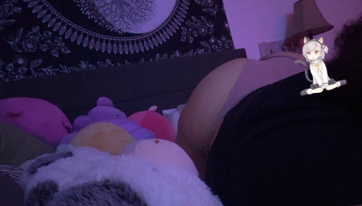 delicatekittyy's tweet photo. hmph..what a bratty kitty (˵◝⩊◜˵マ https://t.co/MadnjNEfHC