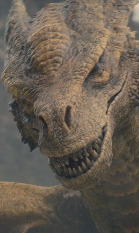 westerosies's tweet photo. Syrax across all three seasons of ‘HOUSE OF THE DRAGON’ https://t.co/z7MNBPk7Ee