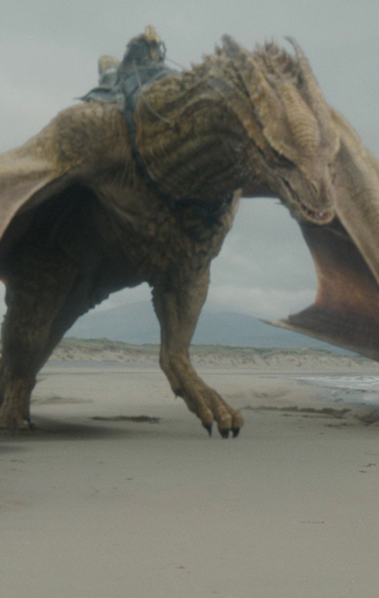 westerosies's tweet photo. Syrax across all three seasons of ‘HOUSE OF THE DRAGON’ https://t.co/z7MNBPk7Ee