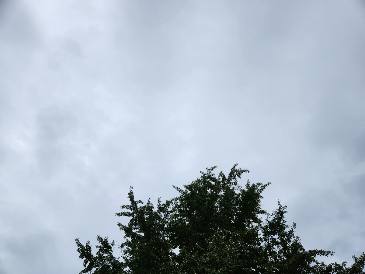 enjoy012345's tweet photo. 今日もめっちゃ曇り☁
週末になると天気悪くなるのなんでなんー

#イマソラ https://t.co/N0uOAFNAId