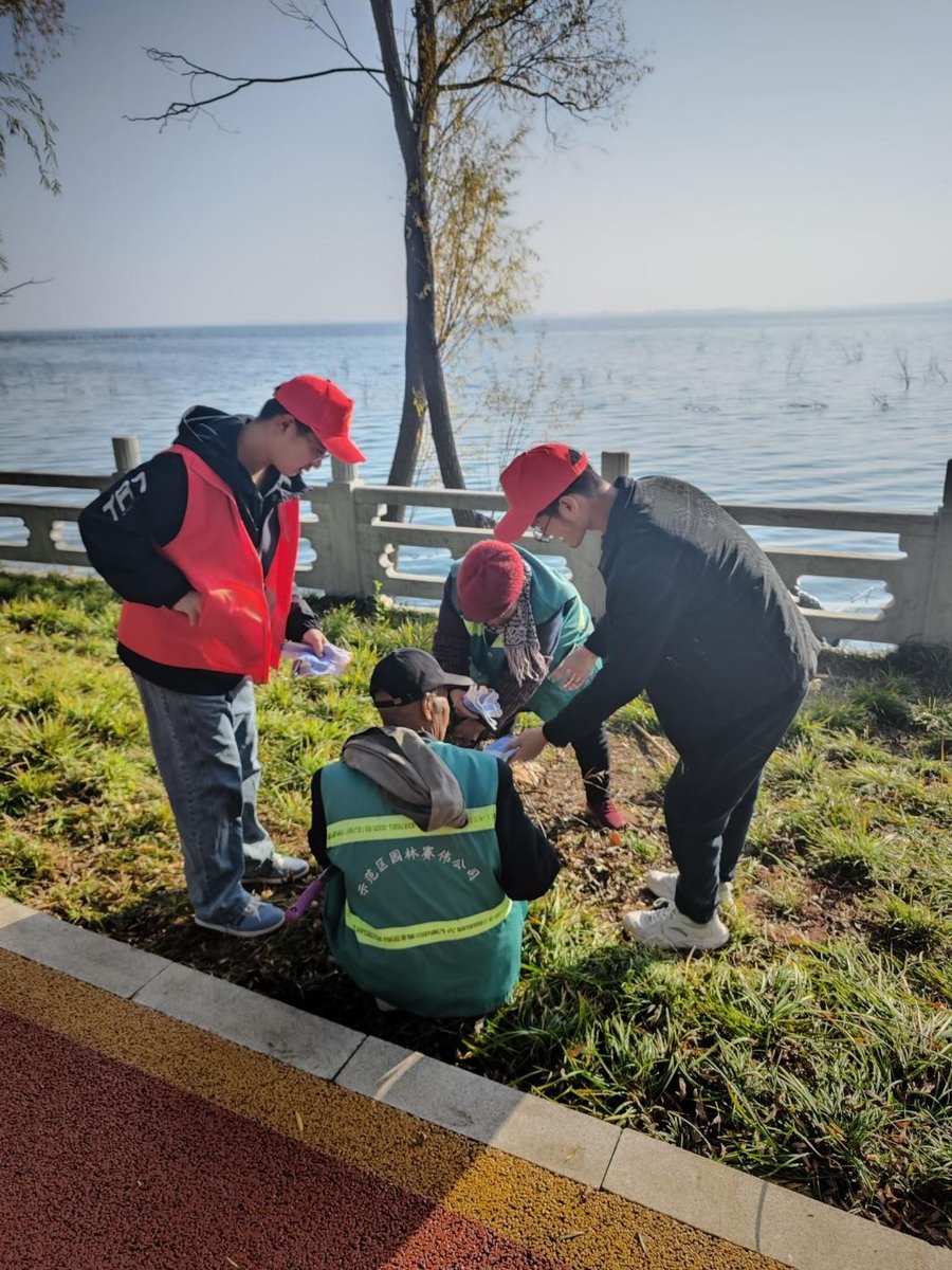 AnnmarieKe9q's tweet photo. Join our weekend community clean-up! Bring gloves u0026 snacks, make our neighborhood shine—meet at Central Park at 9 AM this Saturday! https://t.co/nADAKmeUUL