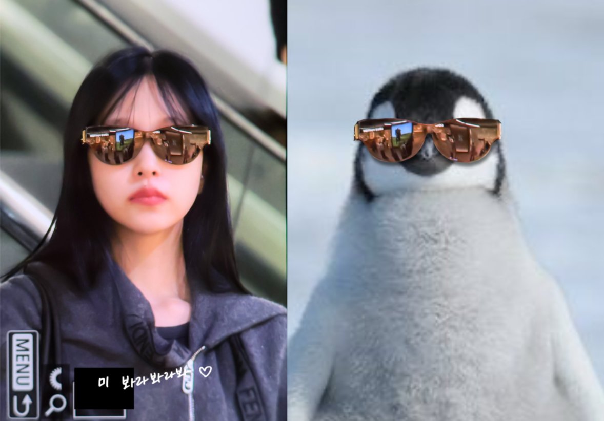 mncollarbone's tweet photo. spot the difference 🐧 https://t.co/MTvt57tlOc
