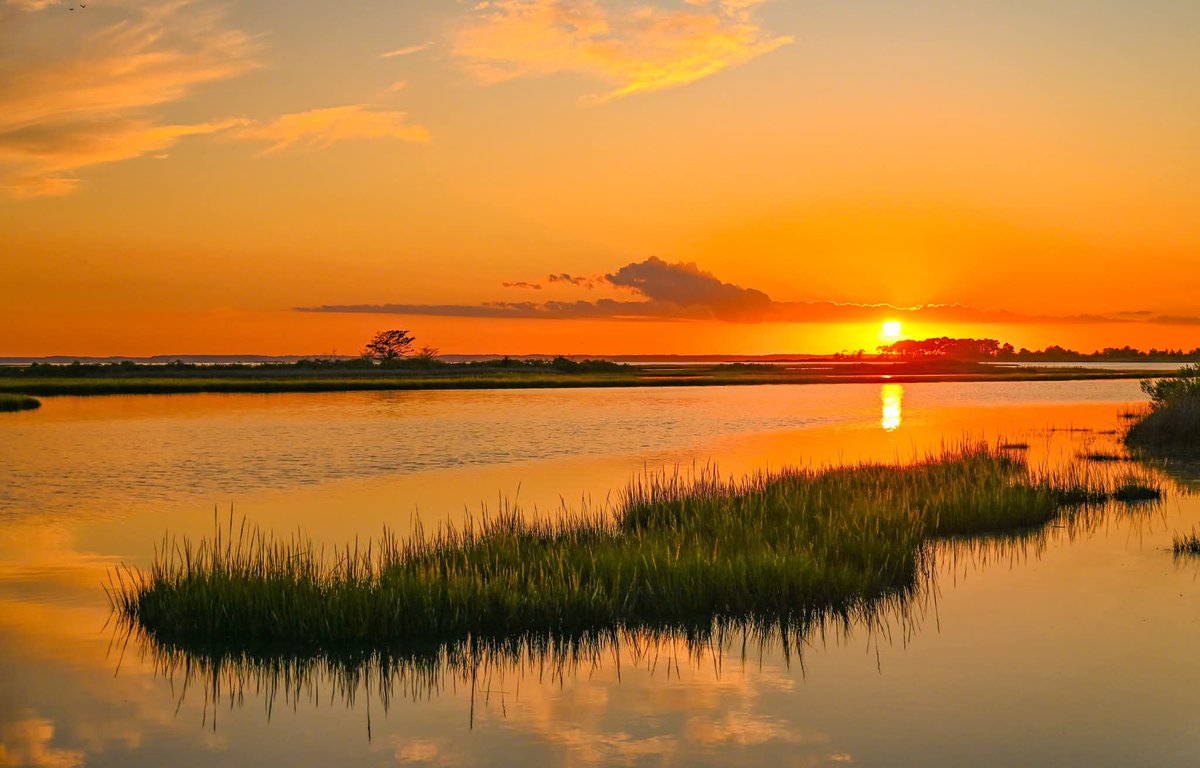 ByTheBayPhotos's tweet photo. Setting sun over the marsh at Assateague Island National Seashore. 

#Assateague #Maryland #Delmarva https://t.co/cLquCqkhWz