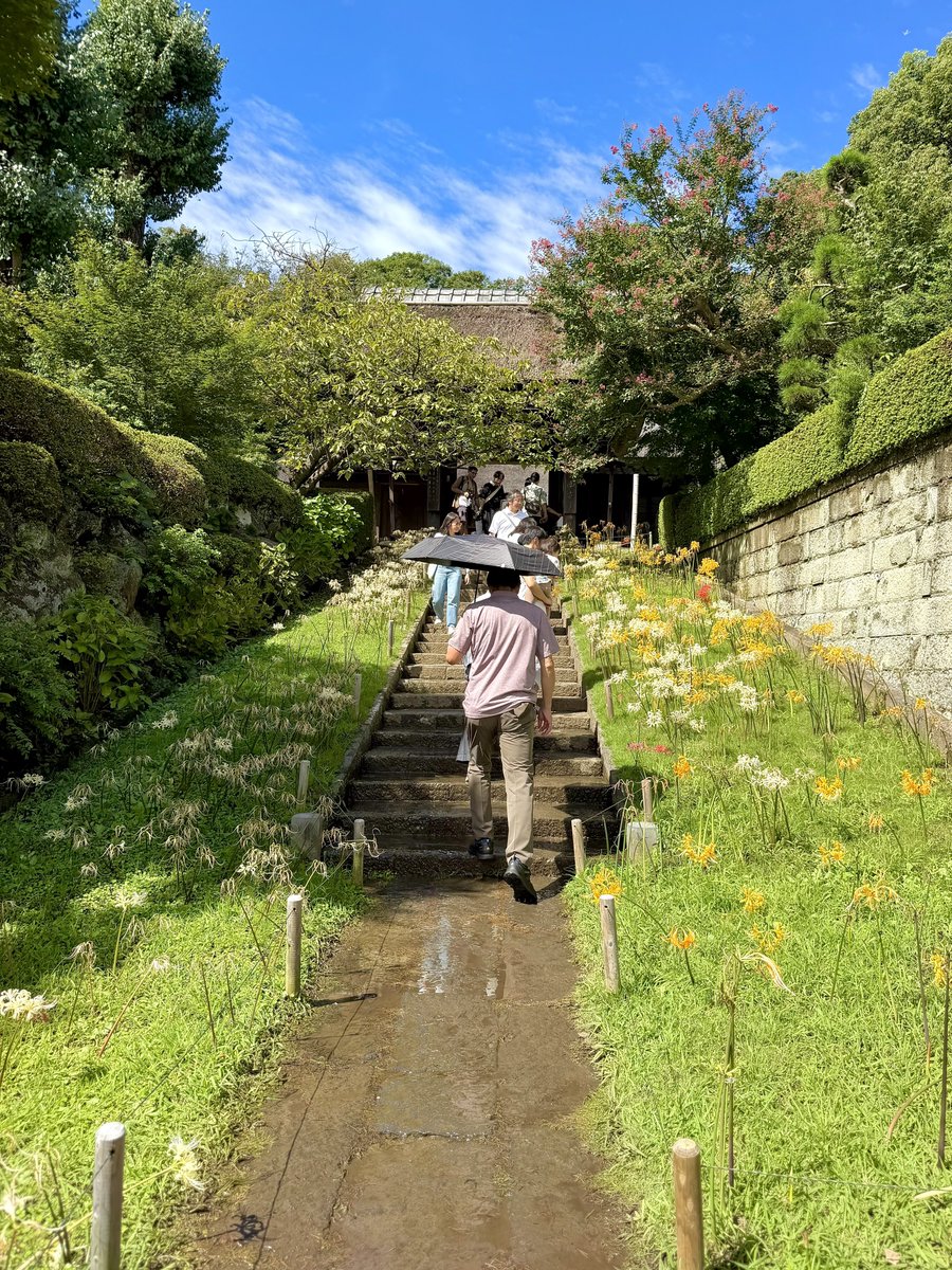 hobbiesstation's tweet photo. 😌西方寺🙏

🗾神奈川県横浜市港北区
🗓2026.9.22

神奈川県の彼岸花𑁍ࠬܓₘ(曼珠沙華)の名所のひとつ♪

だども時すでにおすしで花は少なかったかな(ﾉ∀`)ﾀﾊｰ
でも敷地内とても和やかに綺麗で素敵なお寺でした～☺️ https://t.co/XIMV2jbGSg