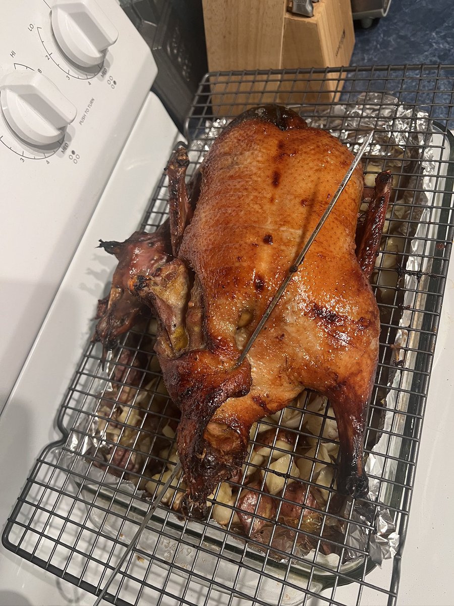 beccaposting's tweet photo. Searching the word “food” in my photos so I can remind myself that im actually a professionally trained cook https://t.co/QqSTj0fJuZ