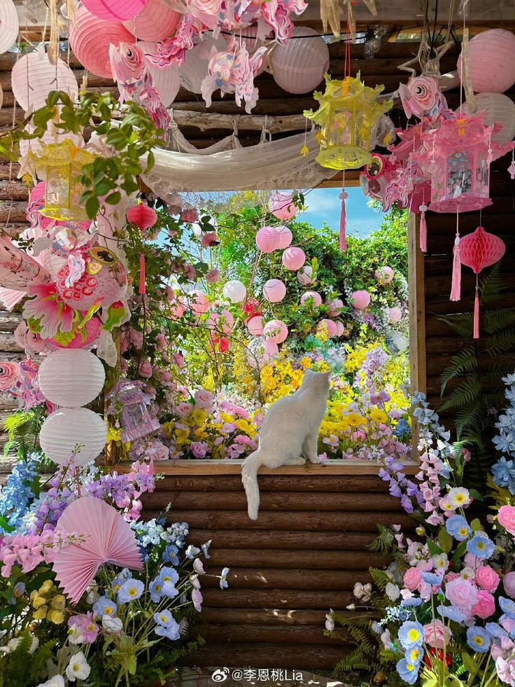FLOWERS3700's tweet photo. https://t.co/NBbiQc7ihq