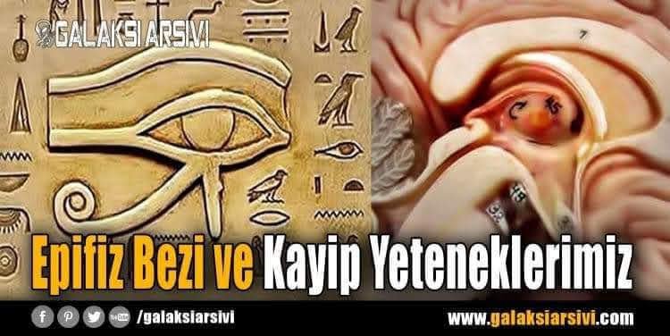 ondersuzer34's tweet photo. @OzcanGngr İlk bunu yok ettiler https://t.co/3PjeajU7wc