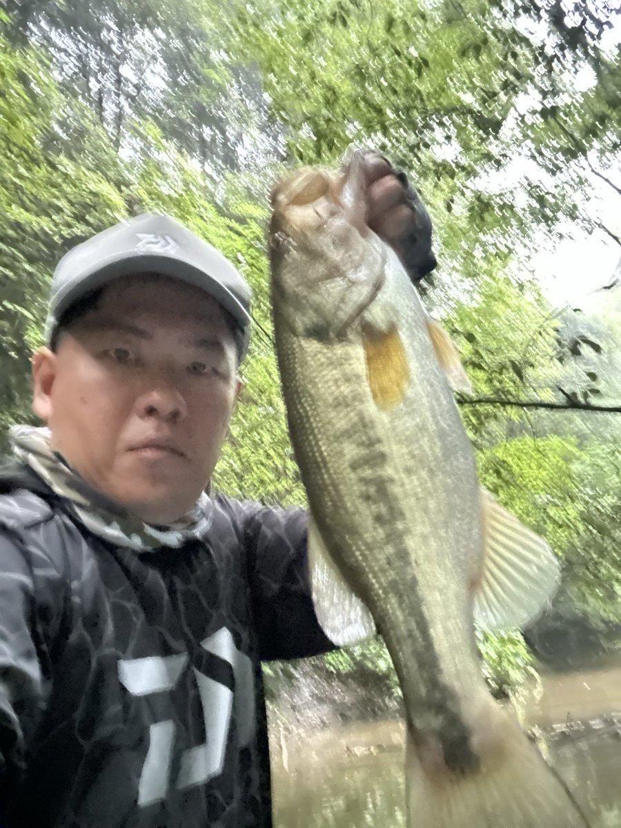 phvmyv's tweet photo. 昨日の三島湖
ともゑ再開後一発目の出陣！
狙い通り激アツスポットに直行し4連発の40アップのみで6本🐟
後半尻すぼみだが生きるスポットと死んでるスポットが明確にわかったから土曜日はいい釣りできそう。
#三島湖
#ともゑボート
#房総リザーバー https://t.co/aGSyA20fHz