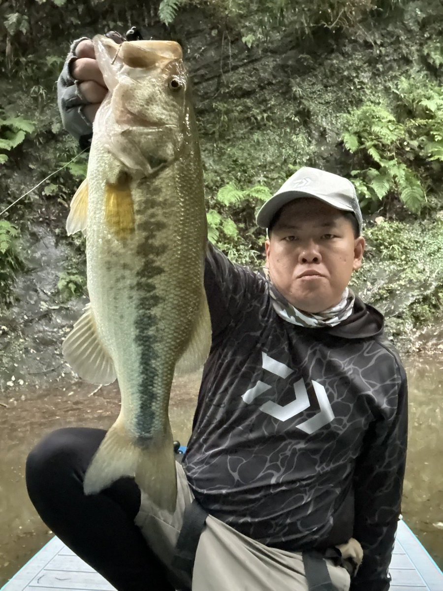 phvmyv's tweet photo. 昨日の三島湖
ともゑ再開後一発目の出陣！
狙い通り激アツスポットに直行し4連発の40アップのみで6本🐟
後半尻すぼみだが生きるスポットと死んでるスポットが明確にわかったから土曜日はいい釣りできそう。
#三島湖
#ともゑボート
#房総リザーバー https://t.co/aGSyA20fHz