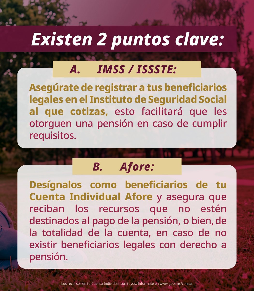 PENSIONISSSTE_'s tweet photo. 🍂 Seguimos en septiembre, Mes del Testamento. Y tú, ¿ya elegiste a quién dejarás como beneficiario de tu Cuenta Individual de AFORE PENSIONISSSTE? 👨‍👩‍👧‍👦

No lo dejes para después. Designar a tus beneficiarios es una decisión importante para proteger a quienes más quieres. ❤️

📍 Hazlo hoy. Visita cualquiera de nuestros Centros de Atención al Público y recibe orientación gratuita.

👉 Consulta nuestras ubicaciones y acércate a AFORE PENSIONISSSTE.
