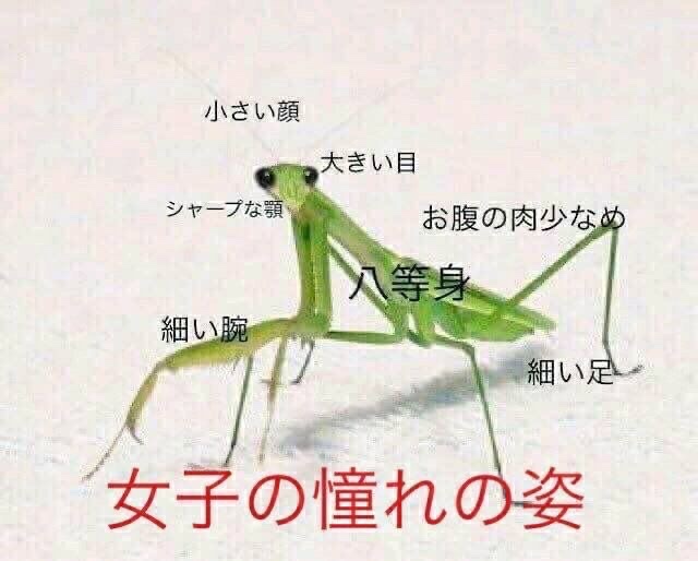 hayakore's tweet photo. https://t.co/CYJ3ymwrS4
