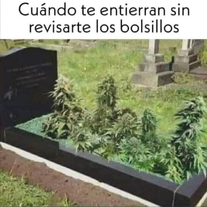 leandroarg55's tweet photo. hay que rico https://t.co/5Mkc2QuVP4