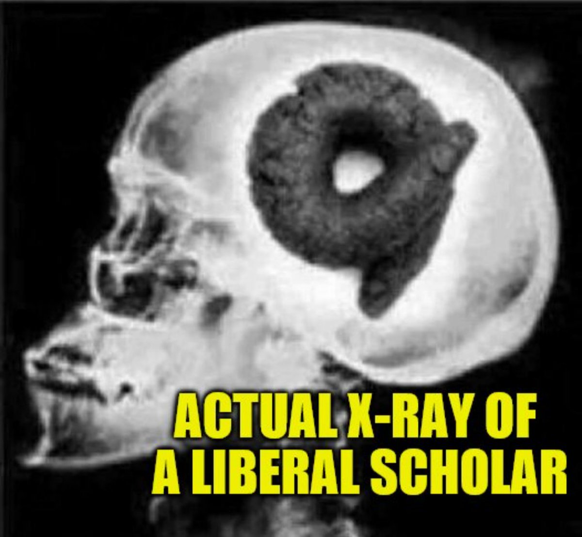 SavarinSam's tweet photo. @lizyeld @boswelltoday Wow. A serial child rapist is a victim because he had a tough time in prison? I hope you're never around kids. Your brain⬇️ https://t.co/cdMbrh6anc