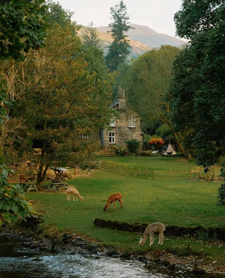 echoesofworld's tweet photo. Cotswolds, England https://t.co/6mw0bhTyhC